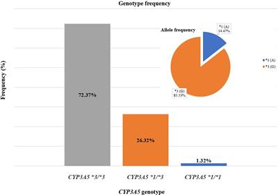 CYP3A5 Gene-Guided Tacrolimus Treatment of Living-Donor Egyptian Kidney Transplanted Patients